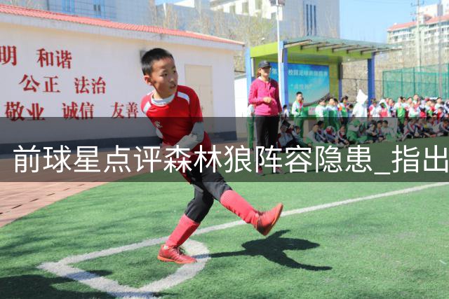 前球星点评森林狼阵容隐患 指出爱德华兹将面临的困境